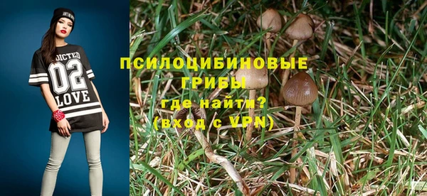 каннабис Новокубанск