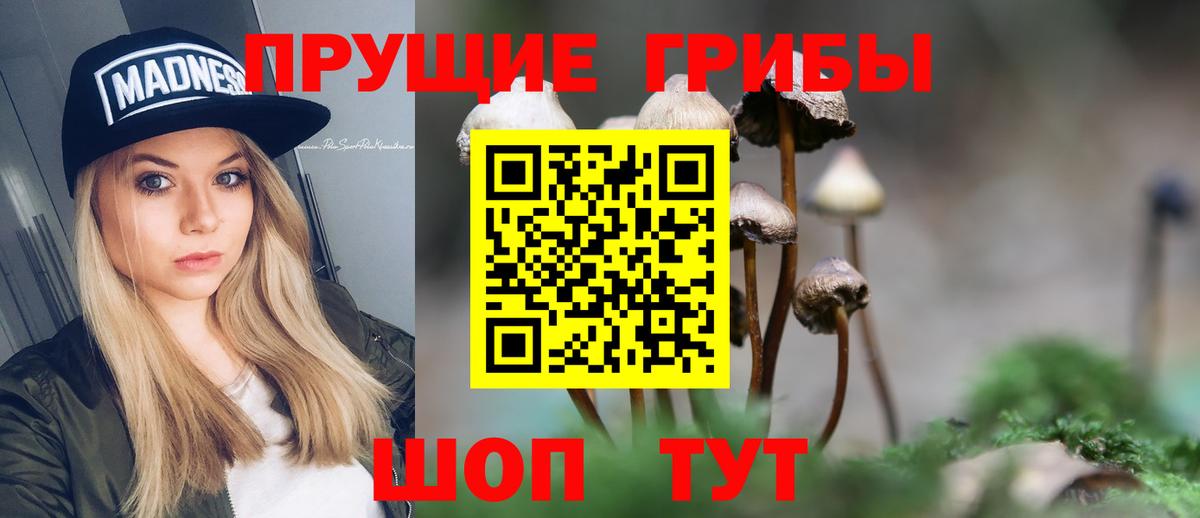 Галлюциногенные грибы мицелий Аша