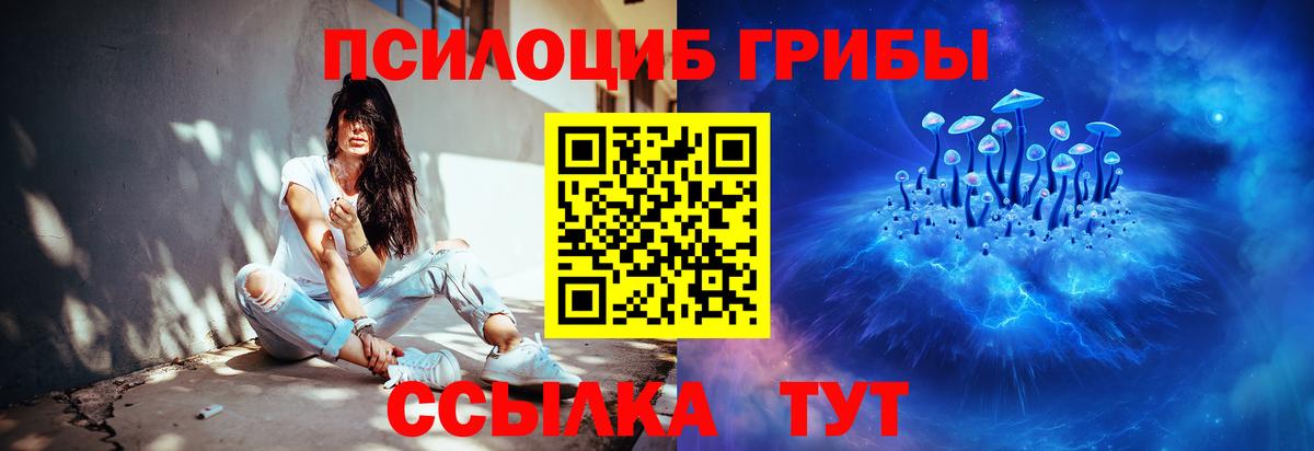 Псилоцибиновые грибы GOLDEN TEACHER  Аша 